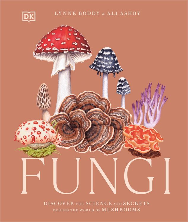 Produktbild: Fungi