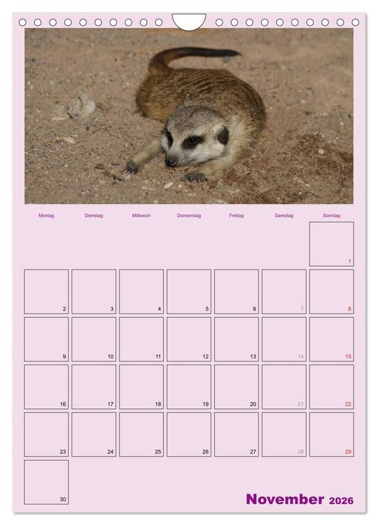 Produktbild: Erdm&auml;nnchen / Terminplaner (Wandkalender 2026 DIN A4 hoch), CALVENDO Monatskalender