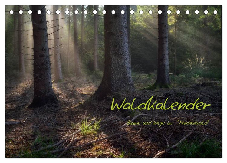 Produktbild: Waldkalender (Tischkalender 2026 DIN A5 quer), CALVENDO Monatskalender