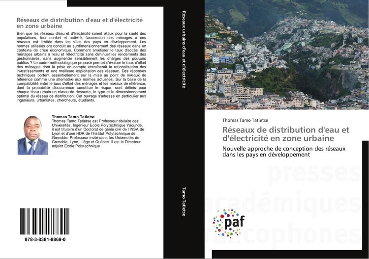 Produktbild: R&eacute;seaux de distribution d'eau et d'&eacute;lectricit&eacute; en zone urbaine