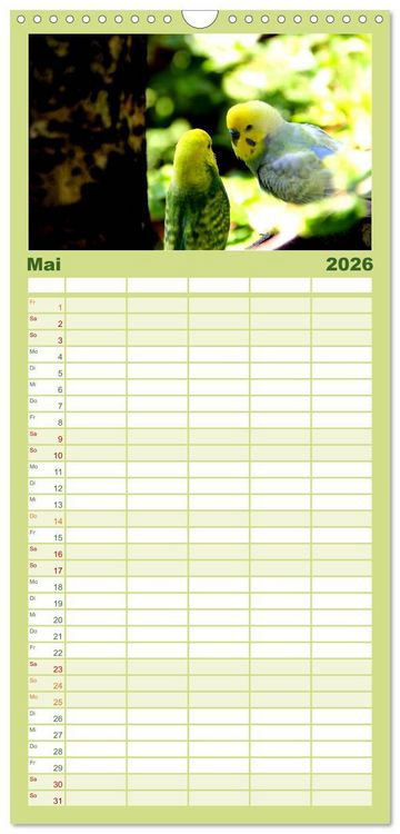 Produktbild: Familienplaner 2026 - Wellensittiche - Naturkalender mit 5 Spalten (Wandkalender, 21 x 45 cm) CALVENDO