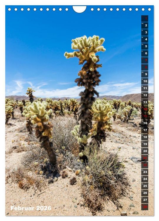 Produktbild: Impressionen aus dem JOSHUA TREE NATIONAL PARK (Wandkalender 2026 DIN A4 hoch), CALVENDO Monatskalender