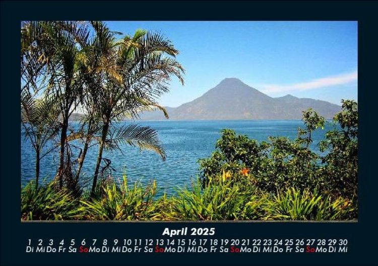 Produktbild: Palmentraum 2025 Fotokalender DIN A5