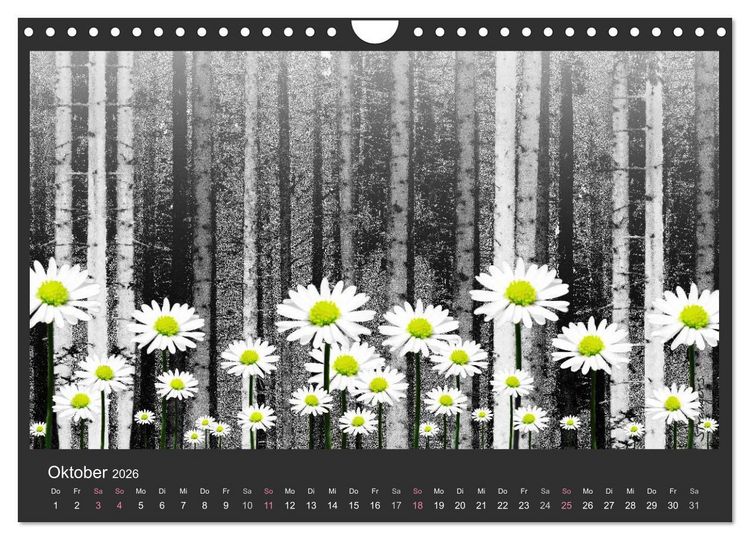 Produktbild: Schwarzwald. Anders. (Wandkalender 2026 DIN A4 quer), CALVENDO Monatskalender