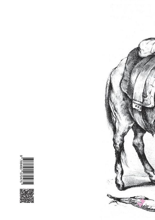 Produktbild: Don Quijote