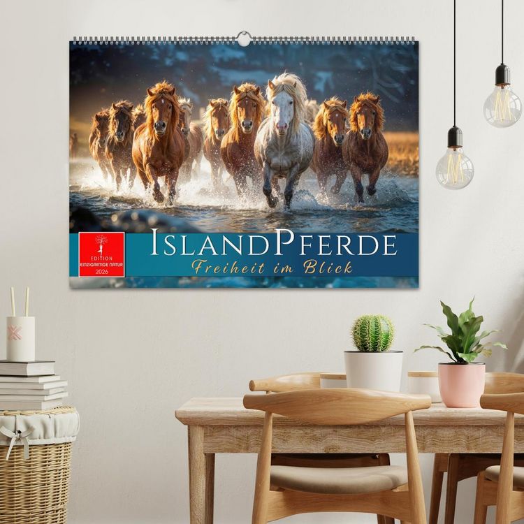 Produktbild: Islandpferde - Freiheit im Blick (Wandkalender 2026 DIN A2 quer), CALVENDO Monatskalender