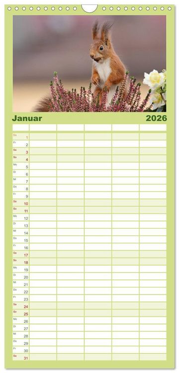 Produktbild: Familienplaner 2026 - Eichh&ouml;rnchen Momentaufnahmen f&uuml;rs Herz mit 5 Spalten (Wandkalender, 21 x 45 cm) CALVENDO