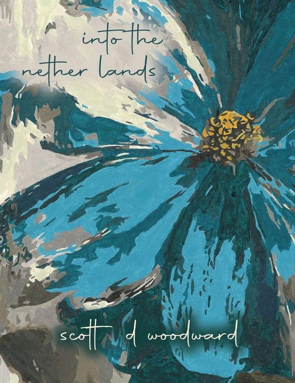 Produktbild: Into the nether lands