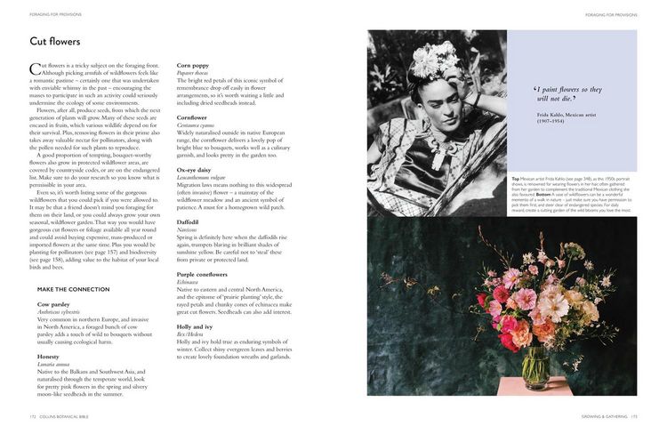 Produktbild: Collins Botanical Bible