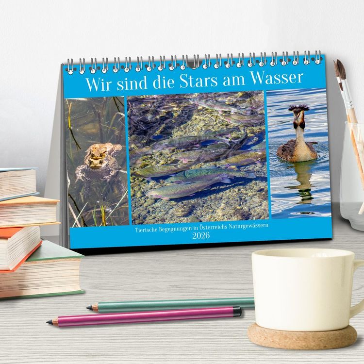 Produktbild: Wir sind die Stars am Wasser (Tischkalender 2026 DIN A5 quer), CALVENDO Monatskalender