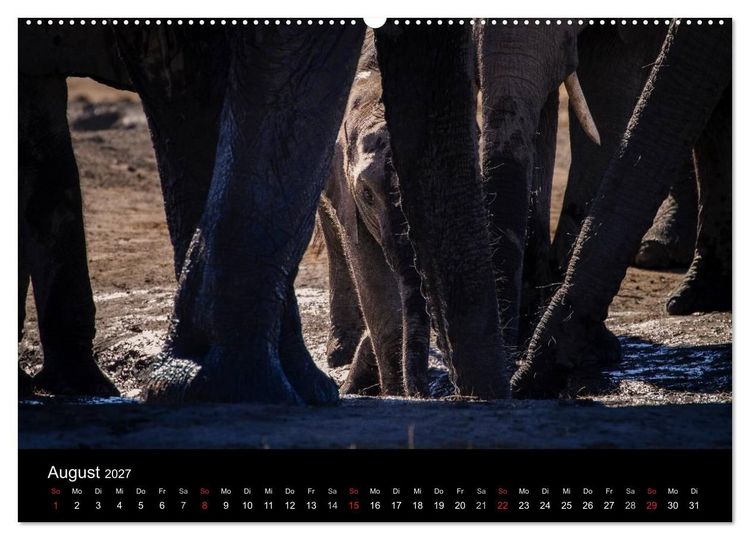 Produktbild: Elefanten - Die sanften Riesen Afrikas (Wandkalender 2027 DIN A2 quer), CALVENDO Monatskalender