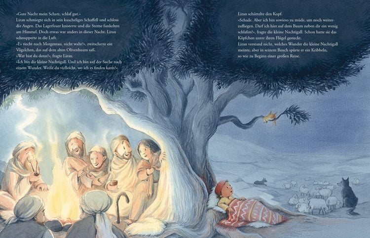 Produktbild: Der kleine Hirte und das Weihnachtswunder
