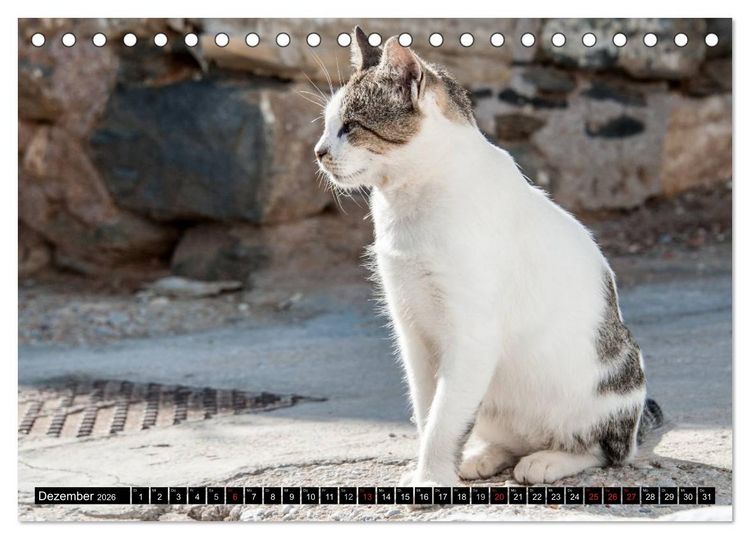 Produktbild: Griechische Katzen (Tischkalender 2026 DIN A5 quer), CALVENDO Monatskalender