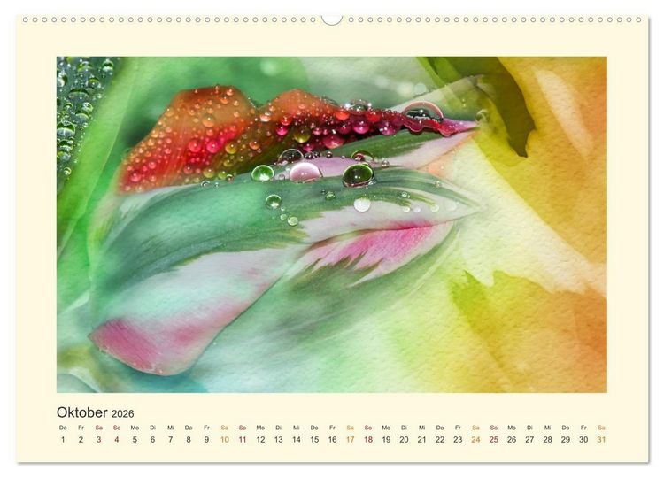 Produktbild: Fotografie trifft Malerei (hochwertiger Premium Wandkalender 2026 DIN A2 quer), Kunstdruck in Hochglanz