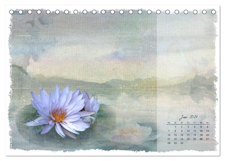 Produktbild: Natur und Farbe Fotografie trifft Aquarell (Tischkalender 2027 DIN A5 quer), CALVENDO Monatskalender