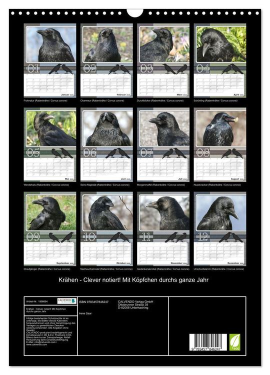 Produktbild: Kr&auml;hen - Clever notiert! Mit K&ouml;pfchen durchs ganze Jahr (Wandkalender 2026 DIN A3 hoch), CALVENDO Monatskalender