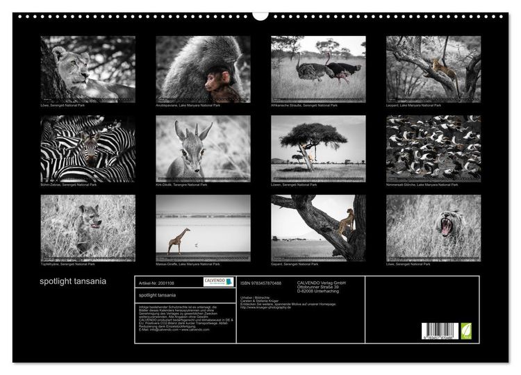 Produktbild: spotlight tansania (Wandkalender 2026 DIN A2 quer), CALVENDO Monatskalender