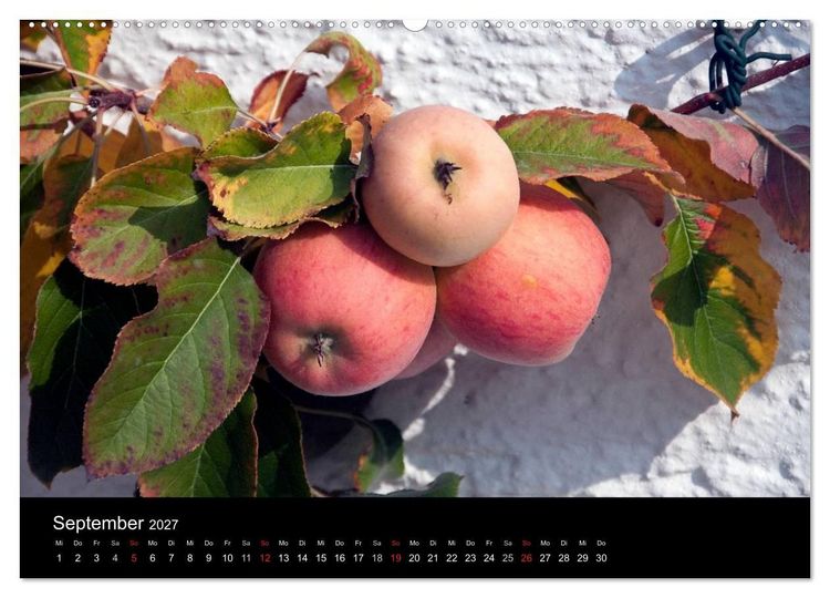 Produktbild: Unterw&ouml;ssen im Chiemgau - Luftkurort und mehr (Wandkalender 2027 DIN A2 quer), CALVENDO Monatskalender