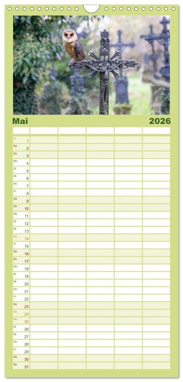 Produktbild: Familienplaner 2026 - Europas Greifv&ouml;gel und Eulen mit 5 Spalten (Wandkalender, 21 x 45 cm) CALVENDO