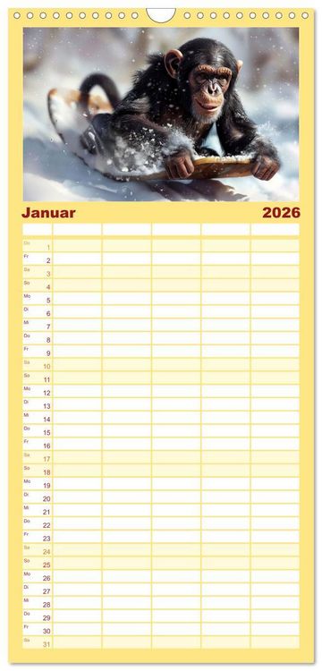 Produktbild: Familienplaner 2026 - Schimpansen - Ein Jahr mit Menschenaffen. mit 5 Spalten (Wandkalender, 21 x 45 cm) CALVENDO