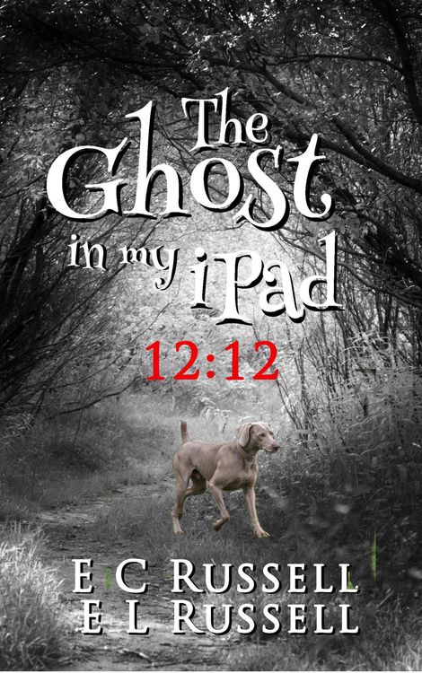 Produktbild: The Ghost in my iPad - 12-12