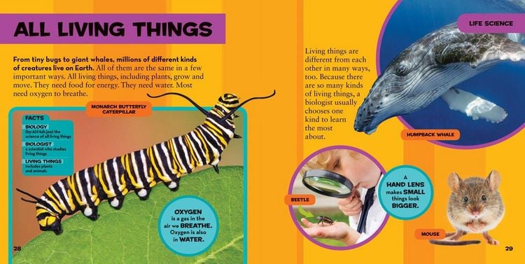 Produktbild: Little Kids First Big Book of Science