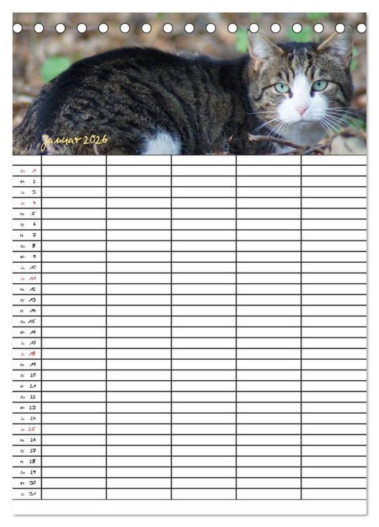 Produktbild: Bauernhoftiere Familienplaner (Tischkalender 2026 DIN A5 hoch), CALVENDO Monatskalender