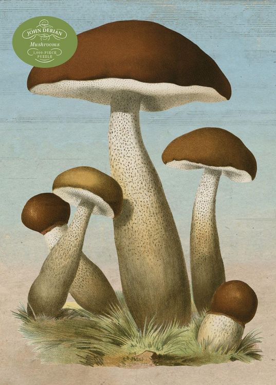 Produktbild: John Derian Paper Goods: Mushrooms 1,000-Piece Puzzle