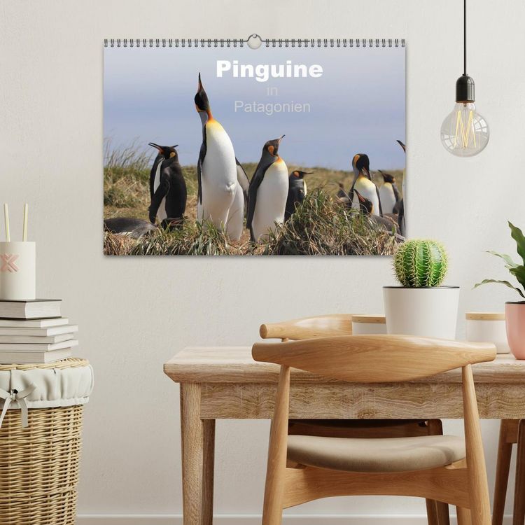 Produktbild: Pinguine in Patagonien (Wandkalender 2026 DIN A3 quer), CALVENDO Monatskalender