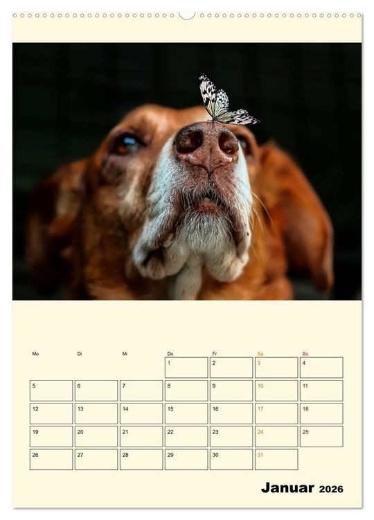 Produktbild: Lustig verr&uuml;ckt - der Tierkalender (hochwertiger Premium Wandkalender 2026 DIN A2 hoch), Kunstdruck in Hochglanz
