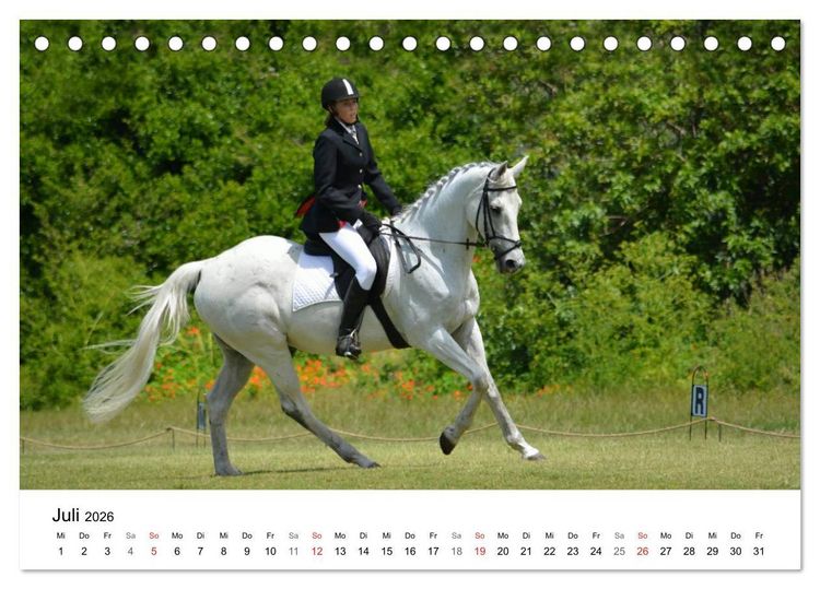 Produktbild: Eventing - Der ultimative Reitsport (Tischkalender 2026 DIN A5 quer), CALVENDO Monatskalender