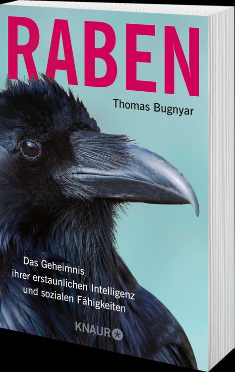 Raben