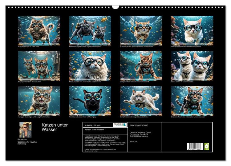 Produktbild: Katzen unter Wasser (Wandkalender 2026 DIN A2 quer), CALVENDO Monatskalender