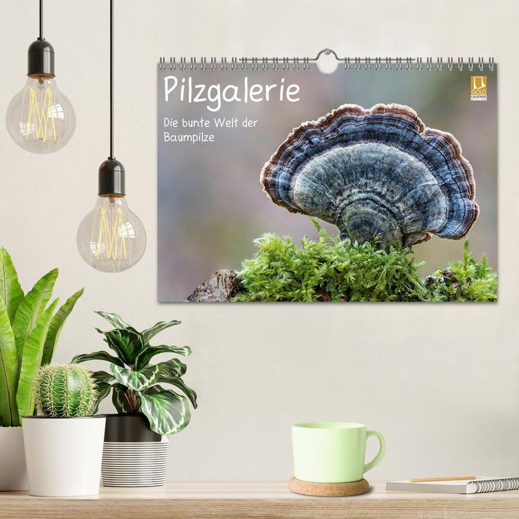 Produktbild: Pilzgalerie - Die bunte Welt der Baumpilze (Wandkalender 2026 DIN A4 quer), CALVENDO Monatskalender