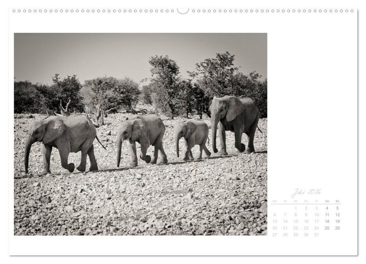 Produktbild: Elefanten in Etosha (Wandkalender 2026 DIN A2 quer), CALVENDO Monatskalender