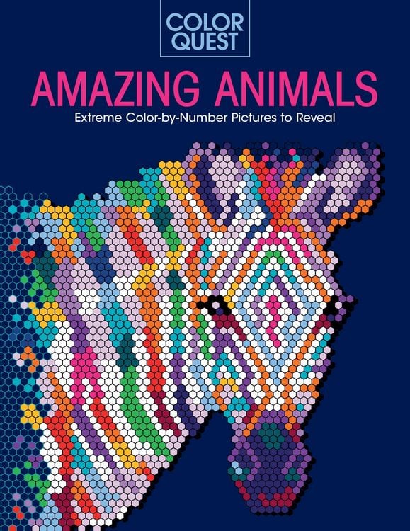 Produktbild: Color Quest: Amazing Animals