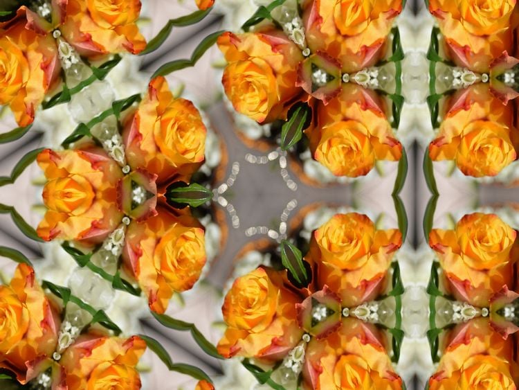 Produktbild: CALVENDO Puzzle Rosentrio 1000 Teile Lege-Gr&ouml;&szlig;e 640 x 480 cm Foto-Puzzle Bild von Sabine Hampe-Neves