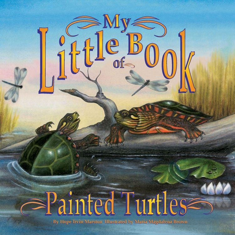 Produktbild: My Little Book of Painted Turtles (My Little Book Of...)