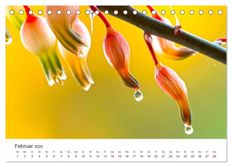 Produktbild: ZEN - Eine Reise zu sich selbst (Tischkalender 2026 DIN A5 quer), CALVENDO Monatskalender