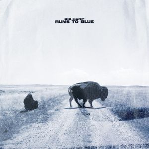 Produktbild: Runs To Blue