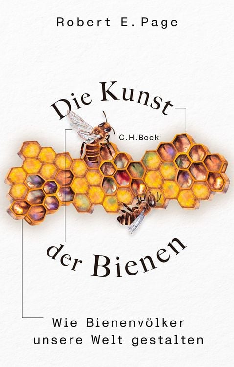 Produktbild: Die Kunst der Bienen