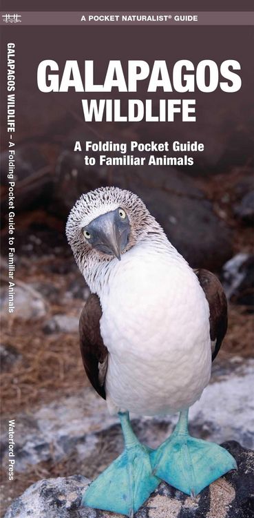 Produktbild: Galapagos Wildlife
