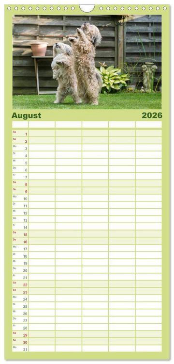 Produktbild: Familienplaner 2026 - Spa&szlig; mit Havanesern mit 5 Spalten (Wandkalender, 21 x 45 cm) CALVENDO