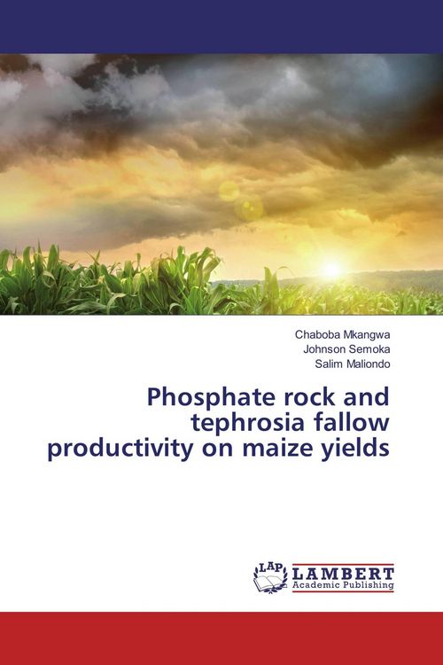 Produktbild: Phosphate rock and tephrosia fallow productivity on maize yields