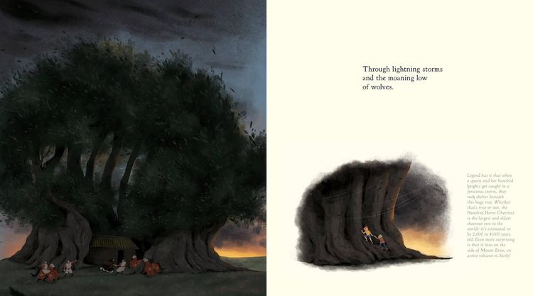 Produktbild: The Witness Trees
