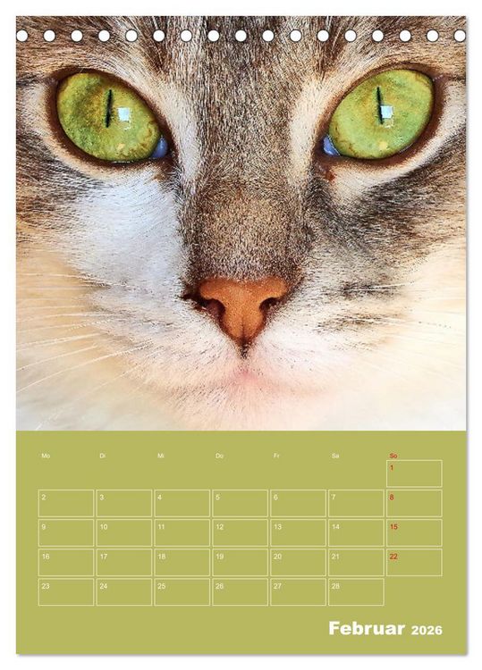 Produktbild: Cat Faces - Charakterstarke Katzengesichter ganz nah (Tischkalender 2026 DIN A5 hoch), CALVENDO Monatskalender