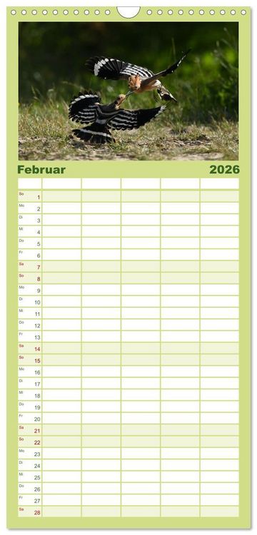 Produktbild: Familienplaner 2026 - Der Wiedehopf mit 5 Spalten (Wandkalender, 21 x 45 cm) CALVENDO