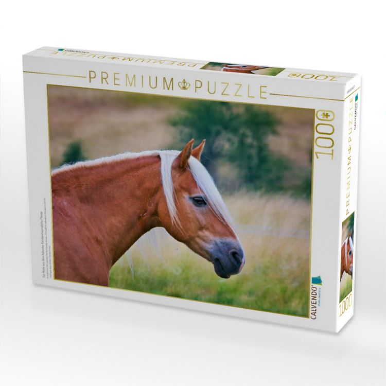 Produktbild: CALVENDO Puzzle Ein Motiv aus dem Kalender Familienfreundliche Pferde | 1000 Teile Lege-Gr&ouml;&szlig;e 64x48cm Foto-Puzzle f&uuml;r gl&uuml;ckliche Stunden