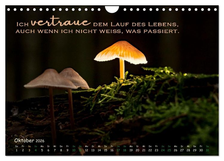 Produktbild: Weibliche Kraft - 12 Impulse zu deiner Wirksamkeit als Frau (Wandkalender 2026 DIN A4 quer), CALVENDO Monatskalender