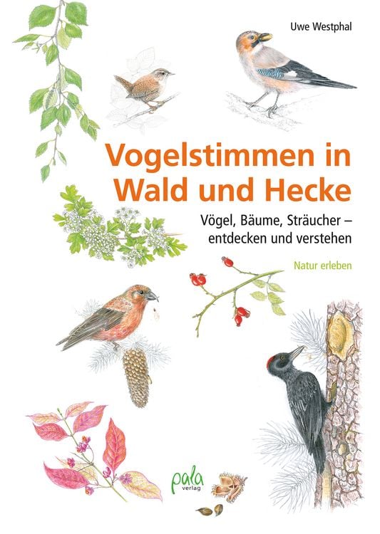 Produktbild: Vogelstimmen in Wald und Hecke